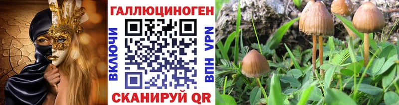 Галлюциногенные грибы Cubensis  omg ONION  Новотроицк 